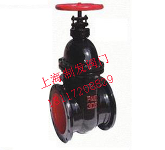 Z41T明桿鑄鐵閘閥